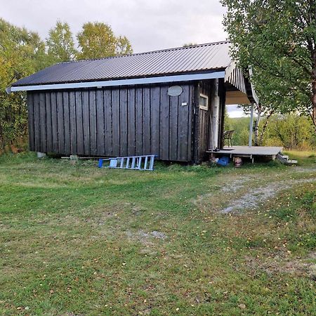 Bungalaven Lodge As Børselv Eksteriør bilde