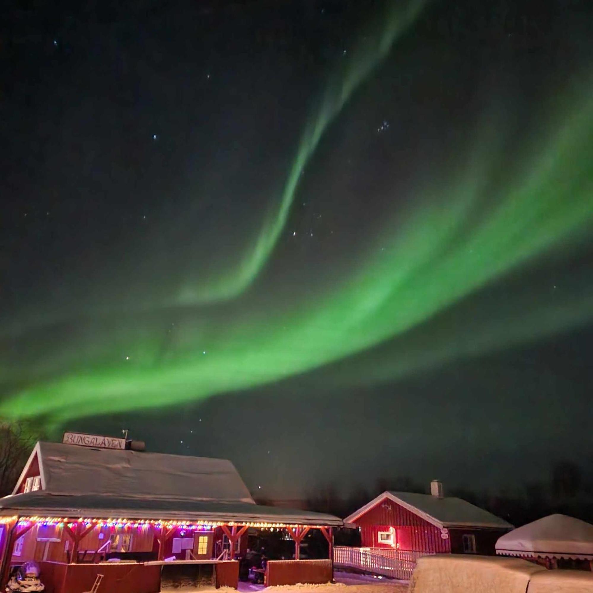 Bungalaven Lodge As Børselv Eksteriør bilde